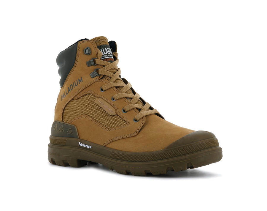 Palladium Pampa Gold | LZZ1496HU