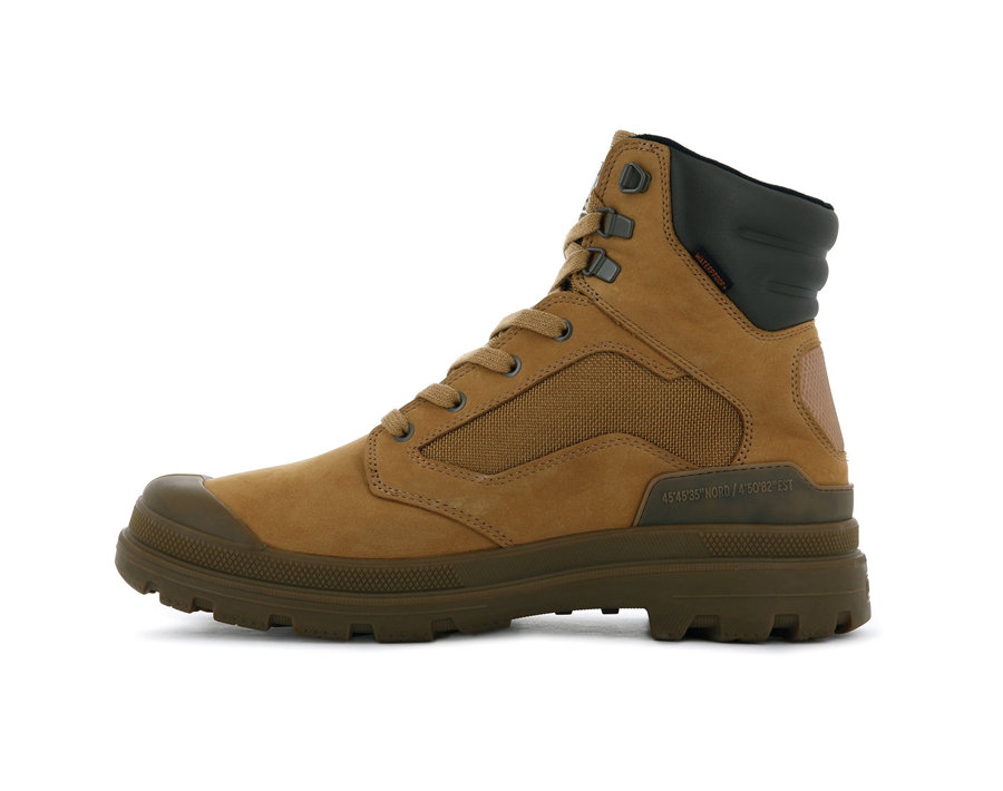 Palladium Pampa Gold | LZZ1496HU