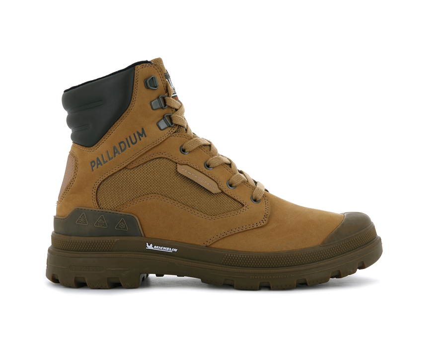 Palladium Pampa Gold | LZZ1496HU