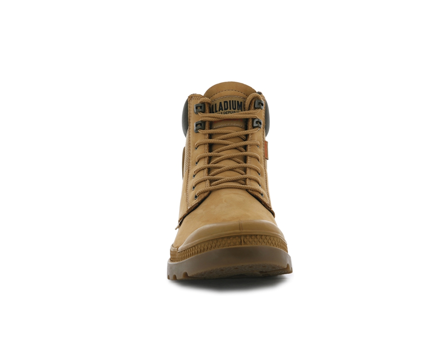 Palladium Pampa Gold | MYZ5366LJ