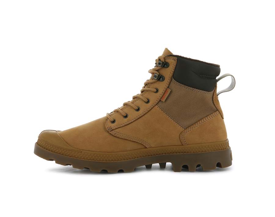 Palladium Pampa Gold | MYZ5366LJ